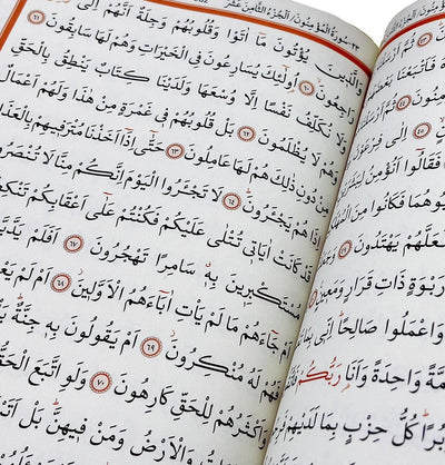 Modefa Islamic Decor Light Pink Holy Quran Keepsake Lalegul Gift Set - Light Pink
