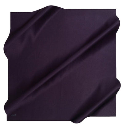 Aker Turkish Stony Silk Satin Hijab Fall 2019 #7747-394